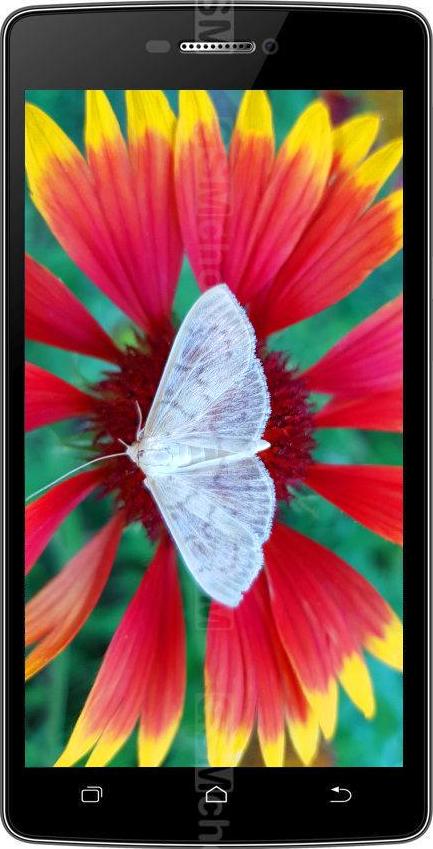 Aligator S5080 Duo LTE