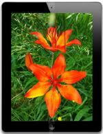 Galeria zdjęć telefonu Apple iPad 4 32 GB