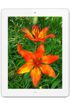 Apple iPad 4 64 GB kliknij aby zobaczyć powiększenie