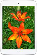 Galeria zdjęć telefonu Apple iPad mini 16 GB