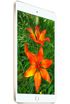 Apple iPad mini 3 64GB