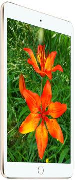 Galeria zdjęć telefonu Apple iPad mini 3