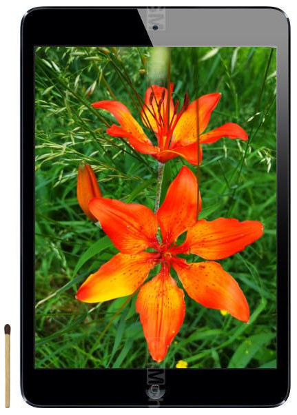 iPad mini 16GB 【 MD528J/A】【A1432】 Buy New Tablet Apple iPad mini Wi-Fi 16GB Black (MD528