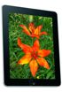 Apple iPad Wi-Fi 32 GB