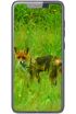Black Fox B2 Fox kliknij aby zobaczyć powiększenie