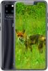 Black Fox B2 Fox