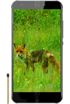 Black Fox B3 Fox kliknij aby zobaczyć powiększenie