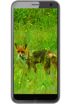 Black Fox B4 Mini NFC kliknij aby zobaczyć powiększenie