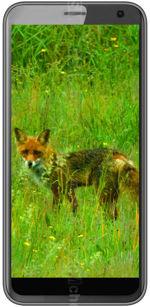 Galeria zdjęć telefonu Black Fox B4 Mini