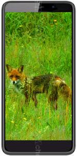 Galeria zdjęć telefonu Black Fox B6 Fox