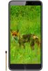 Black Fox B6 Fox kliknij aby zobaczyć powiększenie