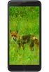 Black Fox B7 Fox+