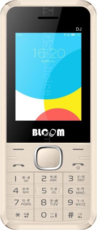 Bloom DJ