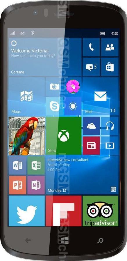 Bush Eluma Bush Eluma