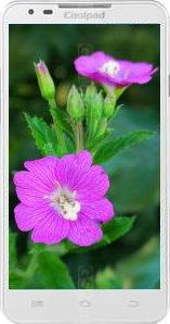 Coolpad 5891Q Coolpad 5891Q
