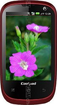 Coolpad 8020+