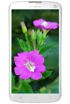 Coolpad 8295C kliknij aby zobaczyć powiększenie