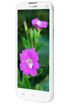 Coolpad 8295C kliknij aby zobaczyć powiększenie