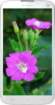 Coolpad 8295C Coolpad 8295C