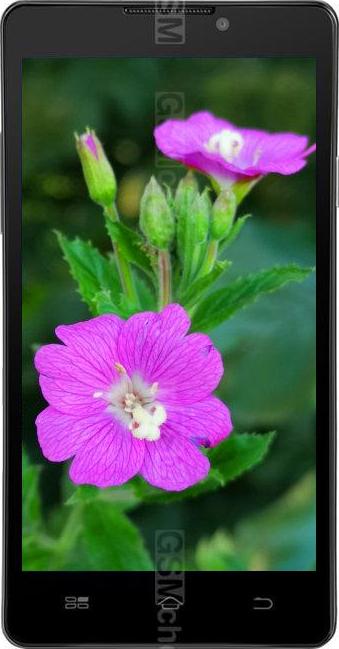 Coolpad 8297W Coolpad 8297W