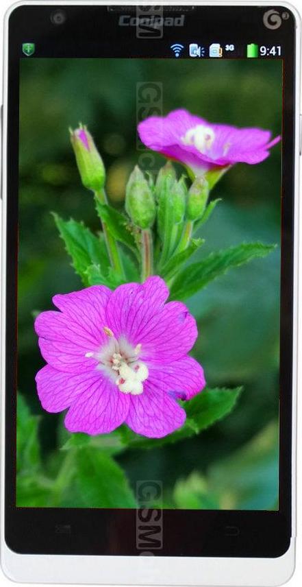 Coolpad 8730