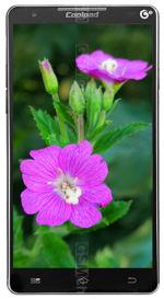 Galeria zdjęć telefonu Coolpad 8750