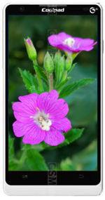 Galeria zdjęć telefonu Coolpad 8920