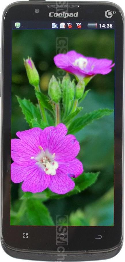 Coolpad 8950 Coolpad 8950