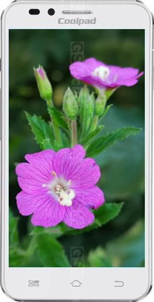 Coolpad 9150W