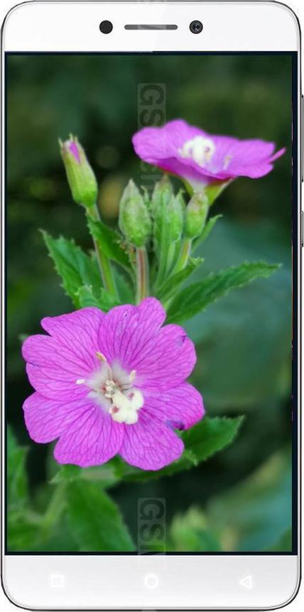 Coolpad Cool Changer 1C Coolpad Cool Changer 1C
