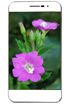 Coolpad ivvi K1 mini