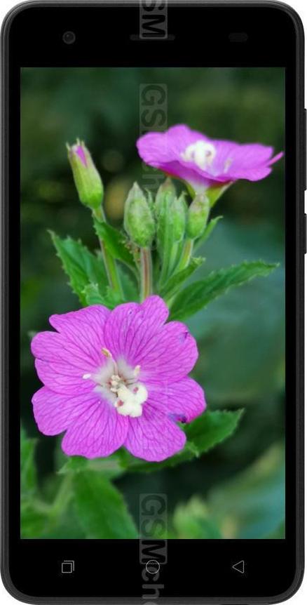 Coolpad Legacy Go Coolpad Legacy Go