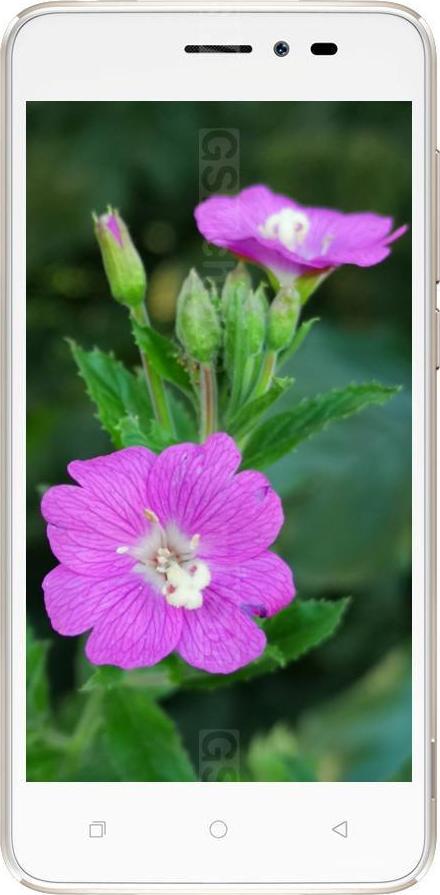 Coolpad Mega 4A Coolpad Mega 4A
