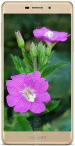 Galeria zdjęć telefonu Coolpad Mega