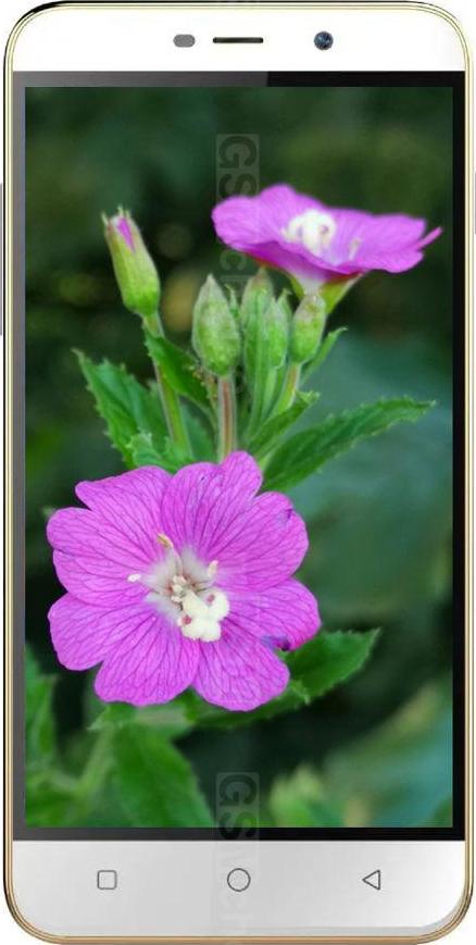 Coolpad Note 3 Lite Coolpad Note 3 Lite