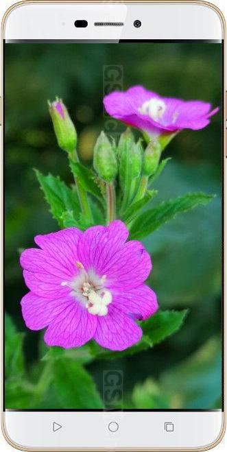 Coolpad Note 3S