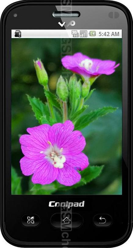 Coolpad W711