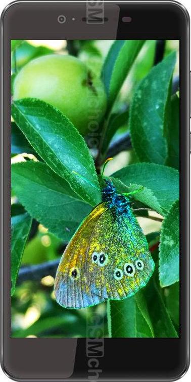 Digma VOX FLASH 4G Digma VOX FLASH 4G