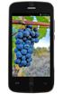 Doogee Collo DG100