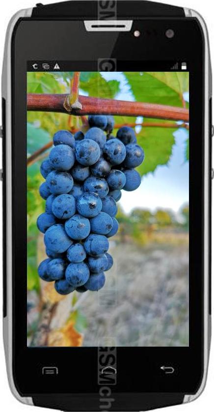 Doogee Titans2 DG700