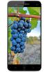Doogee Max DG650S
