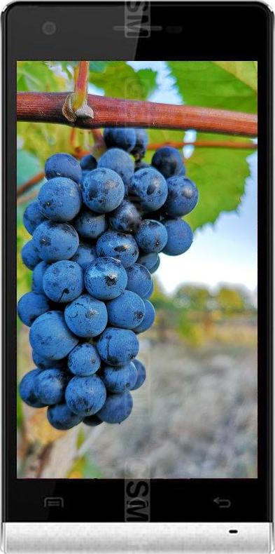 Doogee Pixels DG350 Doogee Pixels DG350