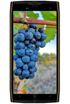 Doogee S50