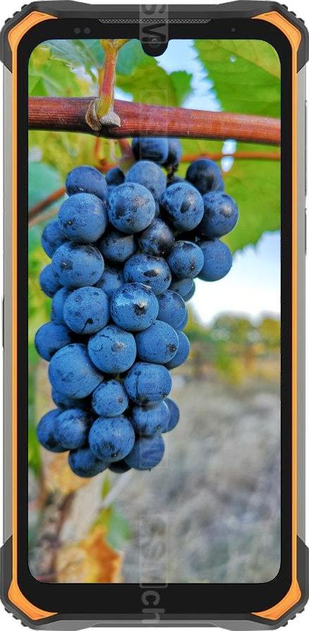 Doogee S86