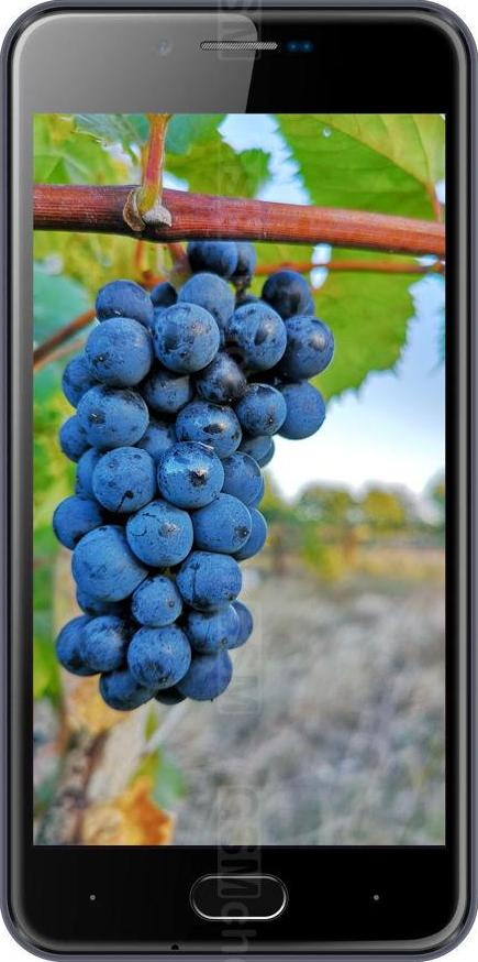 Doogee Shoot 2