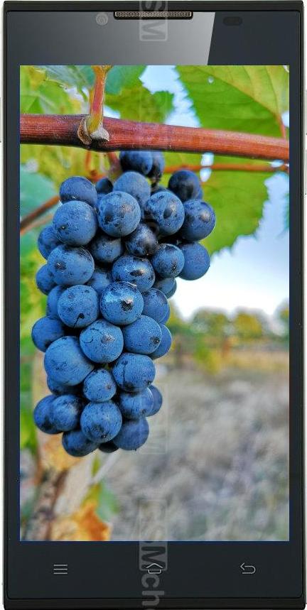 Doogee Turbo DG2014 Doogee Turbo DG2014