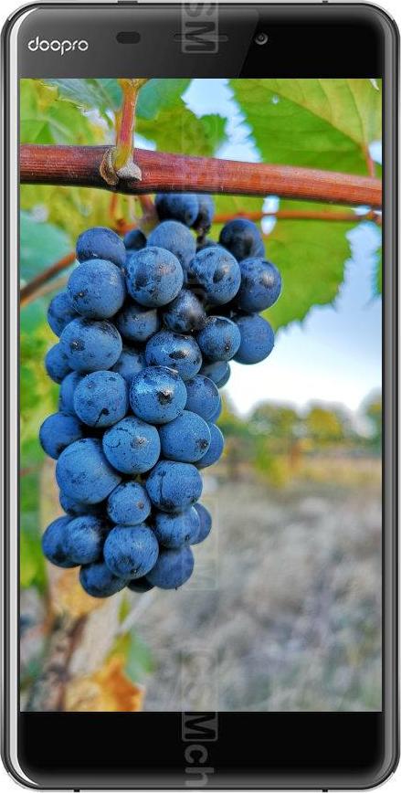 Doopro C1 Pro