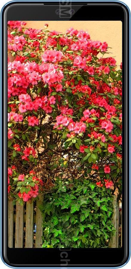 Elephone A3