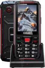 Galeria zdjęć telefonu Evolveo StrongPhone Z4