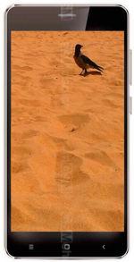 Galeria zdjęć telefonu Ginzzu S5001